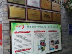 -楠柏弯休闲山庄(梨花溪店)