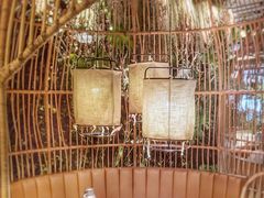 -大头椰·椰子鸡火锅(南宁万象城店)