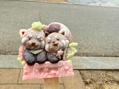 -合肥野生动物园
