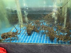 -友鹏海鲜(新宜白大道店)