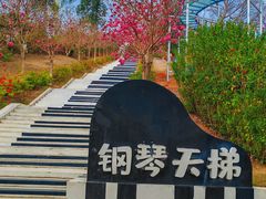 -盈香心动乐园