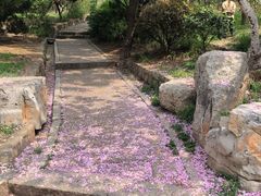 -贮水山儿童公园