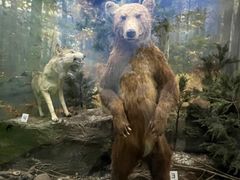 -国家自然博物馆