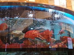 -金翠皇宫粤菜·点心·海鲜(科技园店)