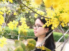 -神光山国家森林公园