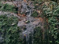 -南丹山森林王国