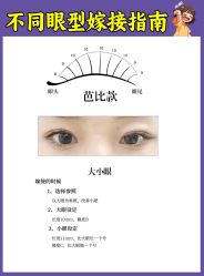 -丽尔美睫