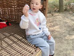-东湖落雁景区