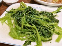 空心菜-老杨饭店(万科里店)