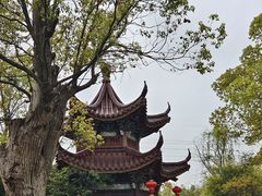 -韩湘水博园