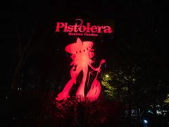 -Pistolera Mexican Cantina女枪手墨西哥餐厅(碧云路店)