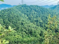 -南山植物园