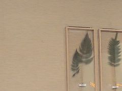 -小泉居(水坑尾店 )