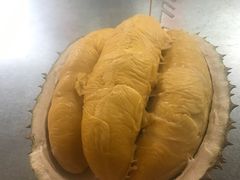 -都念榴莲·城市榴莲