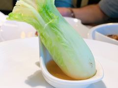 -故宫晶华