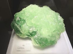 -Oasis Beauty水磨坊科技美肤中心