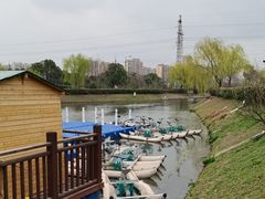 -菊园百果园