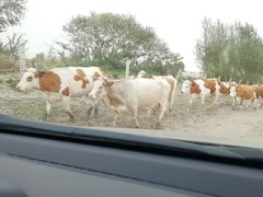 -库伦旗银沙湾旅游景区