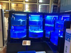 水产区-虾神於氏龙虾·小龙虾(江宁旗舰店)