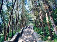 -四门塔风景区