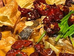 -柿合缘新京菜(国金中心商场店)