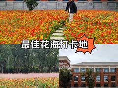 -华东政法大学(松江校区)