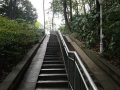 -华中师范大学-图书馆