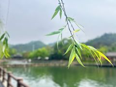 -黄陂区野村谷景区