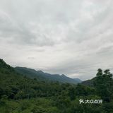 端上来时香味就飘了很远