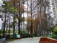 -四海公园(南山区)