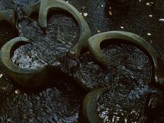 -成都市活水公园