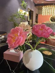 -花隐·美芙炫海菲秀皮肤管理中心