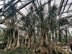 -南山植物园