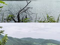 -靖西鹅泉风景区