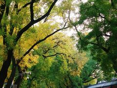 -东华门大街小区