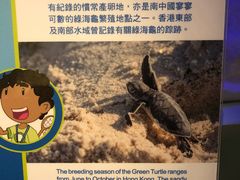 -香港科学馆