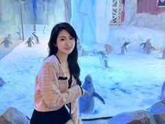 -芜湖新华联大白鲸海洋公园