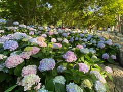 -兰州-西固陈记牛肉面·烧烤(山阴路店)