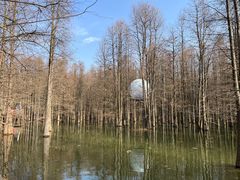 -青山湖景区