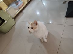 -平行世界·猫咖(首经贸店)