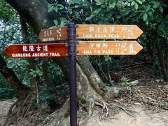 -狮子山郊野公园