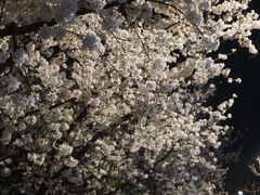 -龙美术馆(西岸馆)