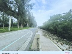 -宝安西湾红树林湿地公园