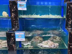 水产区-君港海鲜(三亚湾店)