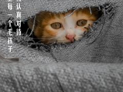 -万达广场(渭南高新店)