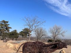 -北京西山国家森林公园