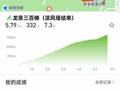 -柏合黄记豆腐皮饭店