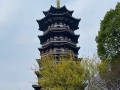 -洋湖国家湿地公园