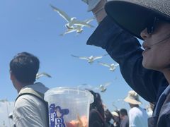 -海驴岛(荣成市)