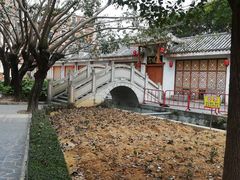 -玫瑰小镇